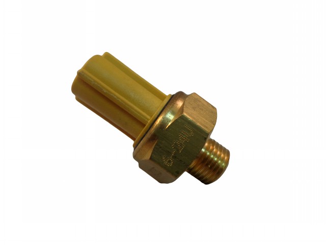 BULBO RADIADOR LOGUS/POINTER 2.0 AP 93/94 85G