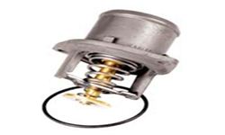 VALVULA TERMOSTATICA CAM VW L80/7100/8140 05/01>